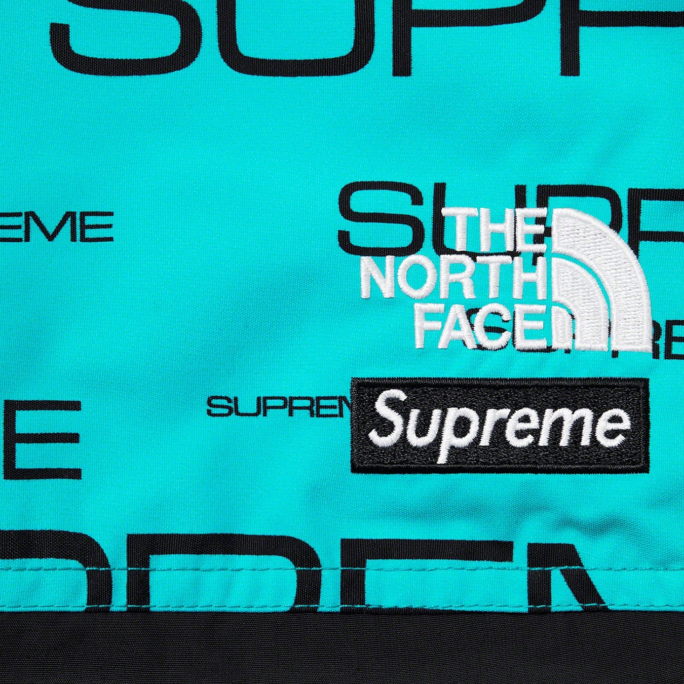 Supreme®/The North Face® Steep Tech Pant view 11